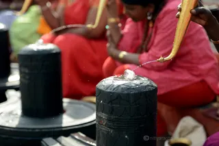 http://nithyananda.org/sites/default/files/photo-gallery/4-2016-12dec-12th-nithyananda-diary_DSC_6482_bengaluru-aadheenam-sadashivoham-day12-puja-rudrabhishekam-swamiji.jpg