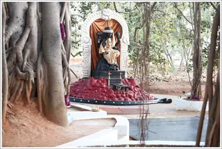 http://nithyananda.org/sites/default/files/photo-gallery/4_12.JPG