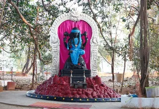 http://nithyananda.org/sites/default/files/photo-gallery/4_15.JPG