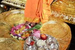 http://nithyananda.org/sites/default/files/photo-gallery/5_12.JPG