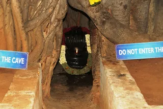 http://nithyananda.org/sites/default/files/photo-gallery/6_nithyananda_21sep2012.JPG