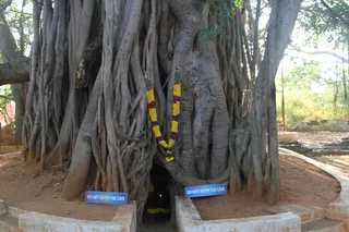 http://nithyananda.org/sites/default/files/photo-gallery/6_nithyananda_22sep2012.JPG