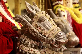 http://nithyananda.org/sites/default/files/photo-gallery/7T7A1555.JPG