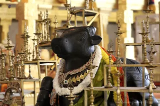 http://nithyananda.org/sites/default/files/photo-gallery/7T7A1561.JPG