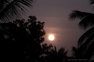 http://nithyananda.org/sites/default/files/photo-gallery/7T9A9887.JPG
