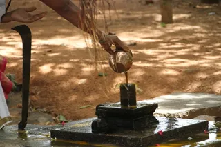 http://nithyananda.org/sites/default/files/photo-gallery/7_nithyananda_temple_17aug2012.JPG