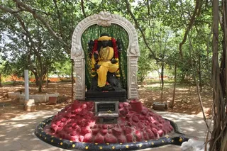 http://nithyananda.org/sites/default/files/photo-gallery/9_nithyananda_21aug2012.JPG