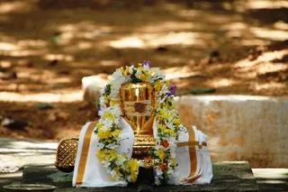 http://nithyananda.org/sites/default/files/photo-gallery/9_nithyananda_temple_17aug2012.JPG