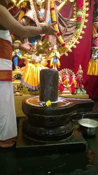 Photo 11727071