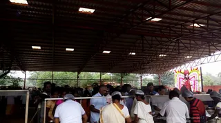 https://nithyananda.org/sites/default/files/photo-gallery/Anna%20dhaan-3_0.jpg?1512631266