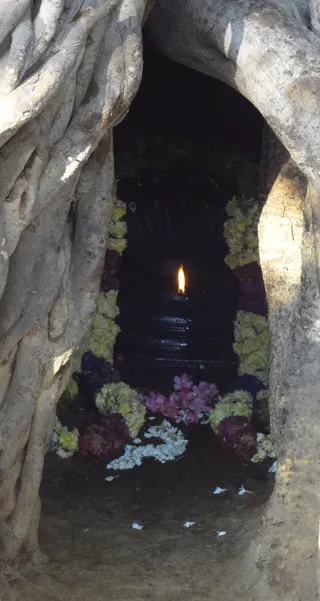 Enlightening Cave Under the Banyan Tree