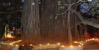 http://nithyananda.org/sites/default/files/photo-gallery/DSC00445.JPG