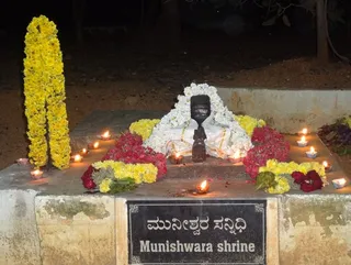 http://nithyananda.org/sites/default/files/photo-gallery/DSC00447.JPG