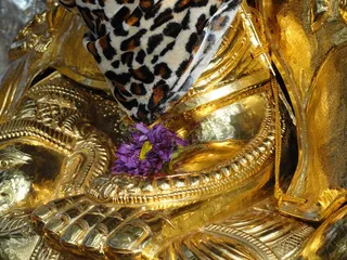 http://nithyananda.org/sites/default/files/photo-gallery/Dakshinamurthy%20golden%20foot.jpg