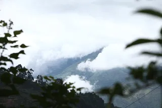 http://nithyananda.org/sites/default/files/photo-gallery/IMG_0344_0.JPG