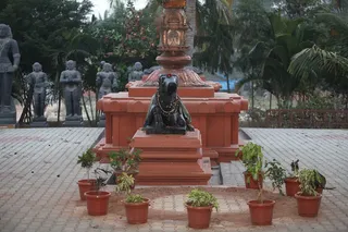 http://nithyananda.org/sites/default/files/photo-gallery/IMG_0442.JPG