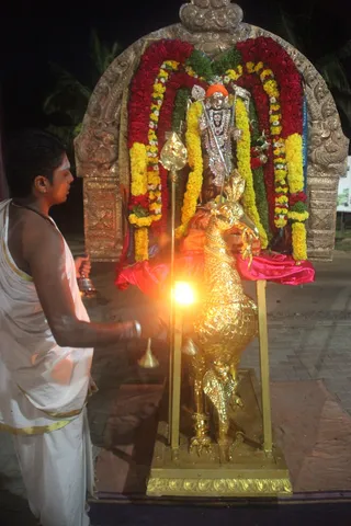 http://nithyananda.org/sites/default/files/photo-gallery/IMG_0884.JPG