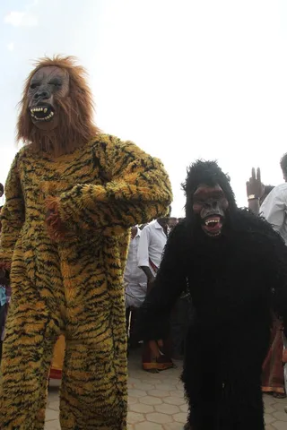 http://nithyananda.org/sites/default/files/photo-gallery/IMG_0899.JPG