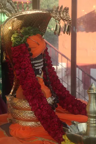 http://nithyananda.org/sites/default/files/photo-gallery/IMG_0995.JPG