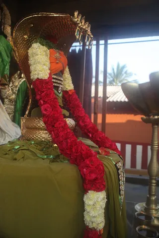 http://nithyananda.org/sites/default/files/photo-gallery/IMG_1229.JPG