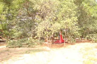 Photo 11730379