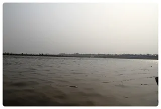 Photo 11730974