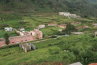 http://nithyananda.org/sites/default/files/photo-gallery/IMG_3317_2.JPG