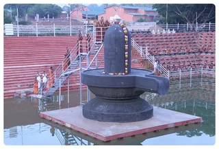 https://nithyananda.org/sites/default/files/photo-gallery/IMG_3690-5-06-13-9.JPG?1370463828