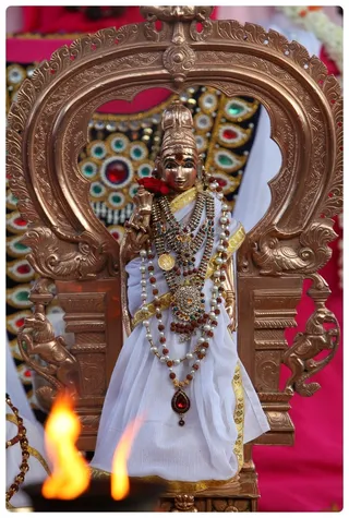 https://nithyananda.org/sites/default/files/photo-gallery/IMG_3760.JPG?1368558298