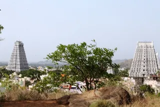 Photo 11731562