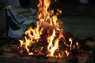 http://nithyananda.org/sites/default/files/photo-gallery/IMG_4162.JPG