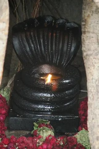 http://nithyananda.org/sites/default/files/photo-gallery/IMG_4848.JPG