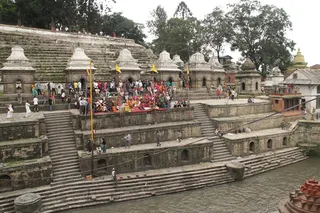 http://nithyananda.org/sites/default/files/photo-gallery/IMG_6007_0.JPG