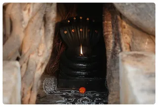 https://nithyananda.org/sites/default/files/photo-gallery/IMG_6296_0.JPG?1366304481
