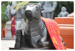 https://nithyananda.org/sites/default/files/photo-gallery/IMG_6400.JPG?1368563190