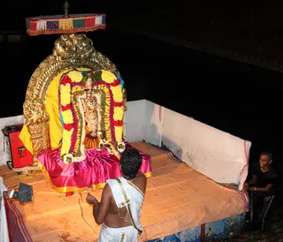 http://nithyananda.org/sites/default/files/photo-gallery/IMG_7222.jpg
