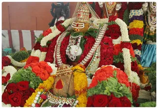 http://nithyananda.org/sites/default/files/photo-gallery/IMG_7452.JPG