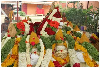 http://nithyananda.org/sites/default/files/photo-gallery/IMG_7453.JPG