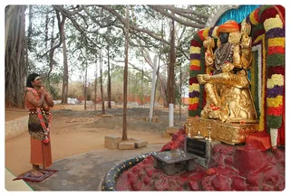 Dakshinamurthi, who stands majestically in royal splendor.