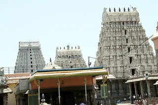 http://nithyananda.org/sites/default/files/photo-gallery/IMG_8274_0.JPG