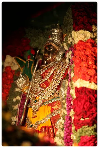 http://nithyananda.org/sites/default/files/photo-gallery/IMG_8646.JPG