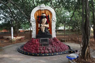 http://nithyananda.org/sites/default/files/photo-gallery/IMG_8759.JPG
