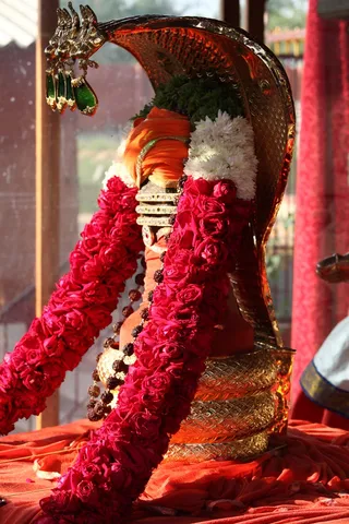 http://nithyananda.org/sites/default/files/photo-gallery/IMG_9057.JPG