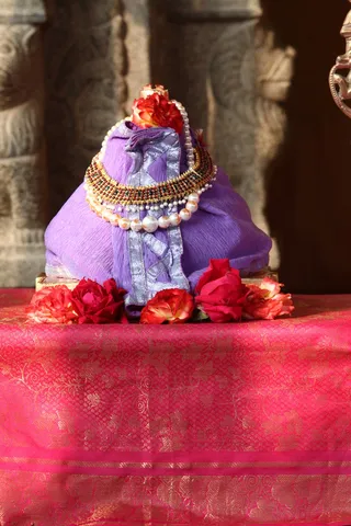 http://nithyananda.org/sites/default/files/photo-gallery/IMG_9082_0.JPG