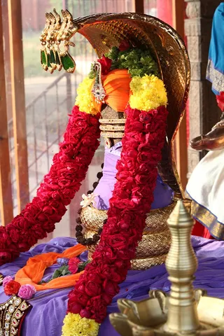 http://nithyananda.org/sites/default/files/photo-gallery/IMG_9094.JPG