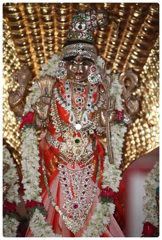 http://nithyananda.org/sites/default/files/photo-gallery/IMG_9106.JPG