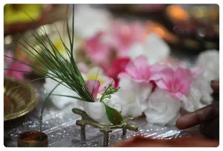 https://nithyananda.org/sites/default/files/photo-gallery/IMG_9584.JPG