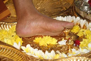 Master's graceful Feet