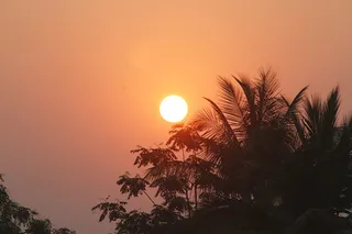 https://nithyananda.org/sites/default/files/photo-gallery/IMG_9727.JPG?1363194385