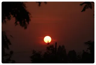 http://nithyananda.org/sites/default/files/photo-gallery/IMG_9785.JPG